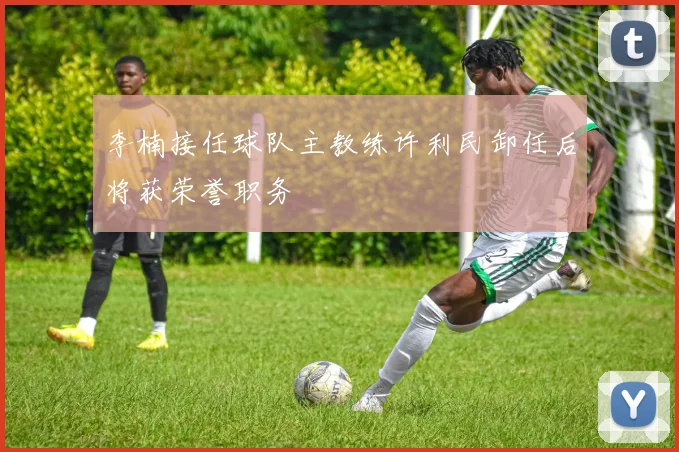 李楠接任球队主教练许利民卸任后将获荣誉职务
