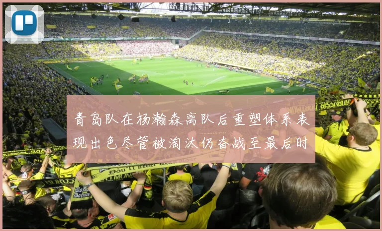 青岛队在杨瀚森离队后重塑体系表现出色尽管被淘汰仍奋战至最后时刻