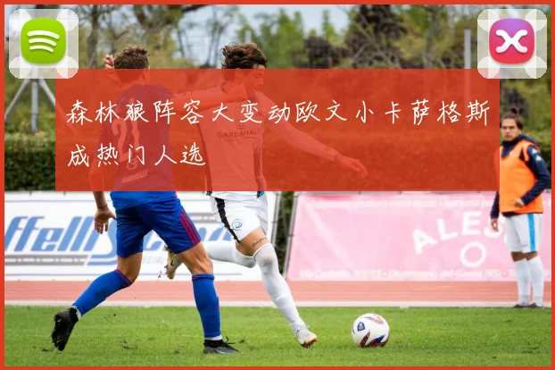 森林狼阵容大变动欧文小卡萨格斯成热门人选